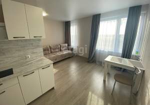 Студия квартира, на длительный срок, 30м2, 14/14 этаж