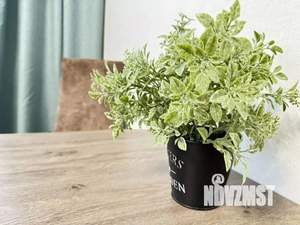 1-к квартира, посуточно, 44м2, 1/1 этаж