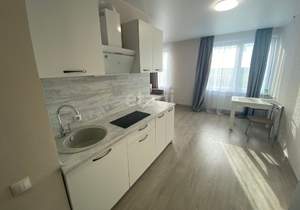 Студия квартира, на длительный срок, 30м2, 14/14 этаж