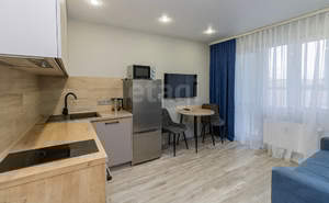 Студия квартира, на длительный срок, 21м2, 11/15 этаж