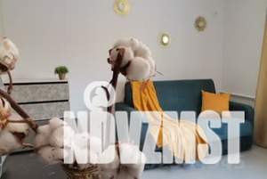 1-к квартира, посуточно, 19м2, 3/5 этаж