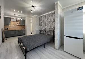 Студия квартира, на длительный срок, 25м2, 11/16 этаж