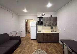 Студия квартира, на длительный срок, 24м2, 11/16 этаж