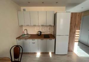 Студия квартира, на длительный срок, 28м2, 14/24 этаж