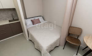 Студия квартира, на длительный срок, 26м2, 9/17 этаж