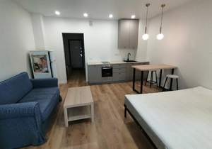 Студия квартира, на длительный срок, 301м2, 8/22 этаж