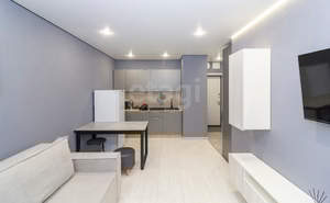 Студия квартира, на длительный срок, 25м2, 9/16 этаж