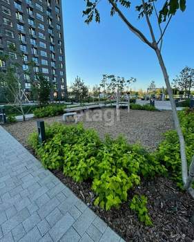 Студия квартира, на длительный срок, 25м2, 16/24 этаж