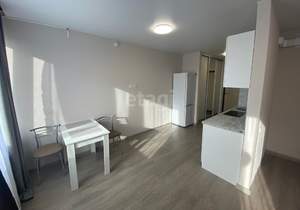 Студия квартира, на длительный срок, 30м2, 14/14 этаж