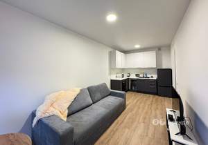 1-к квартира, на длительный срок, 49м2, 17/24 этаж