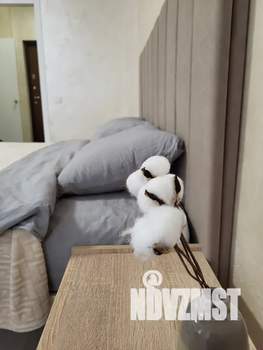 Студия квартира, посуточно, 32м2, 2/15 этаж