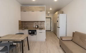 Студия квартира, на длительный срок, 22м2, 8/20 этаж