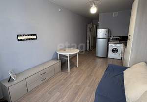 Студия квартира, на длительный срок, 22м2, 14/16 этаж