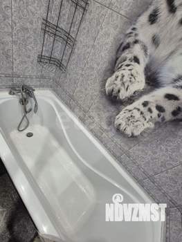 1-к квартира, на длительный срок, 38м2, 8/9 этаж