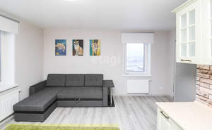 Студия квартира, на длительный срок, 28м2, 17/24 этаж