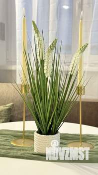 1-к квартира, на длительный срок, 50м2, 15/24 этаж