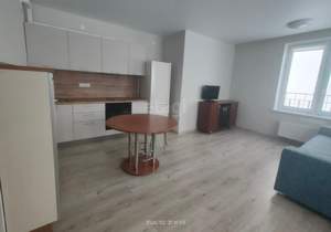 1-к квартира, на длительный срок, 47м2, 23/24 этаж