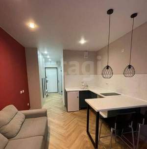 Студия квартира, на длительный срок, 20м2, 13/16 этаж