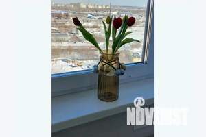 2-к квартира, посуточно, 46м2, 14/25 этаж