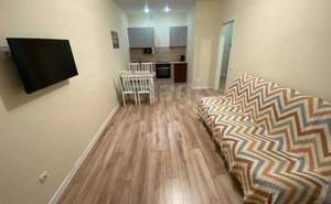 1-к квартира, на длительный срок, 40м2, 4/24 этаж