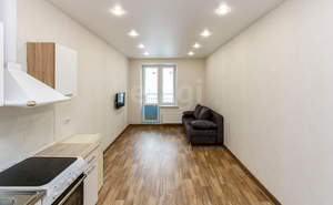 Студия квартира, на длительный срок, 24м2, 6/24 этаж