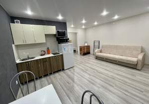 Студия квартира, на длительный срок, 29м2, 22/24 этаж