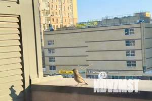 2-к квартира, посуточно, 80м2, 6/16 этаж