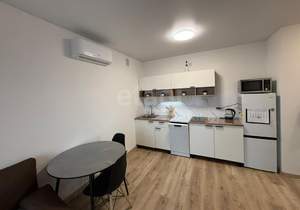 1-к квартира, на длительный срок, 33м2, 10/16 этаж