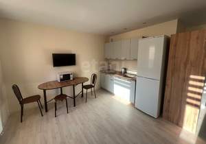 Студия квартира, на длительный срок, 28м2, 14/24 этаж