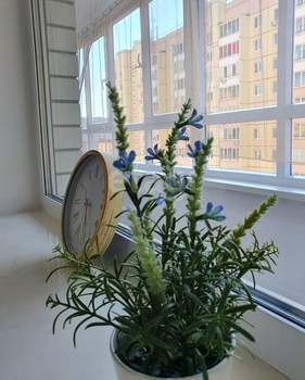 1-к квартира, на длительный срок, 37м2, 5/14 этаж