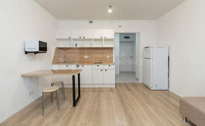 Студия квартира, на длительный срок, 25м2, 15/24 этаж