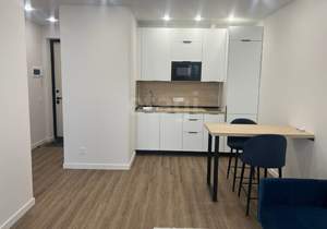 1-к квартира, на длительный срок, 40м2, 14/17 этаж