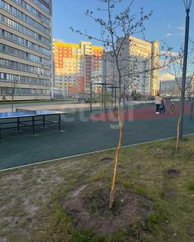 Студия квартира, на длительный срок, 27м2, 1/15 этаж