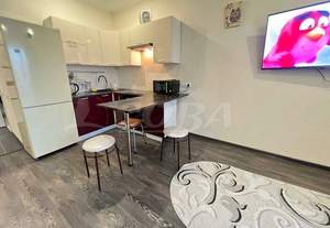 Студия квартира, на длительный срок, 30м2, 1/16 этаж