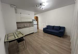 Студия квартира, на длительный срок, 23м2, 5/17 этаж