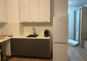 Студия квартира, на длительный срок, 26м2, 15/24 этаж