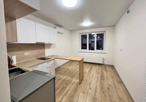 Студия квартира, на длительный срок, 20м2, 8/12 этаж