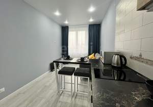 1-к квартира, на длительный срок, 32м2, 11/16 этаж