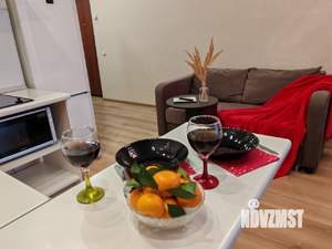 Студия квартира, посуточно, 26м2, 7/17 этаж