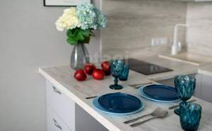 Студия квартира, на длительный срок, 26м2, 9/9 этаж