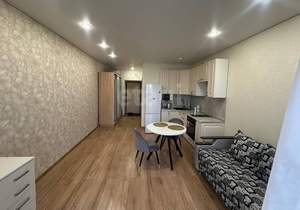 Студия квартира, на длительный срок, 25м2, 11/16 этаж