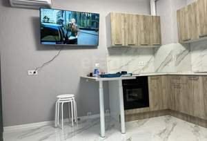 Студия квартира, на длительный срок, 25м2, 4/24 этаж