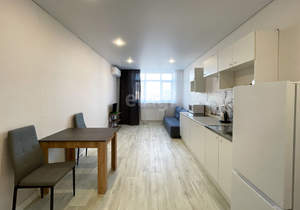 Студия квартира, на длительный срок, 26м2, 13/16 этаж