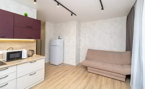 Студия квартира, на длительный срок, 25м2, 7/10 этаж