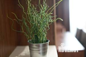 1-к квартира, посуточно, 28м2, 17/25 этаж