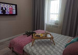 Студия квартира, на длительный срок, 29м2, 8/17 этаж