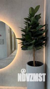 Студия квартира, посуточно, 26м2, 20/25 этаж