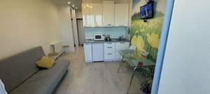 Студия квартира, на длительный срок, 25м2, 14/16 этаж