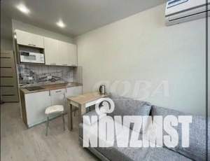 Студия квартира, на длительный срок, 20м2, 13/17 этаж