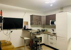 Студия квартира, на длительный срок, 23м2, 17/20 этаж